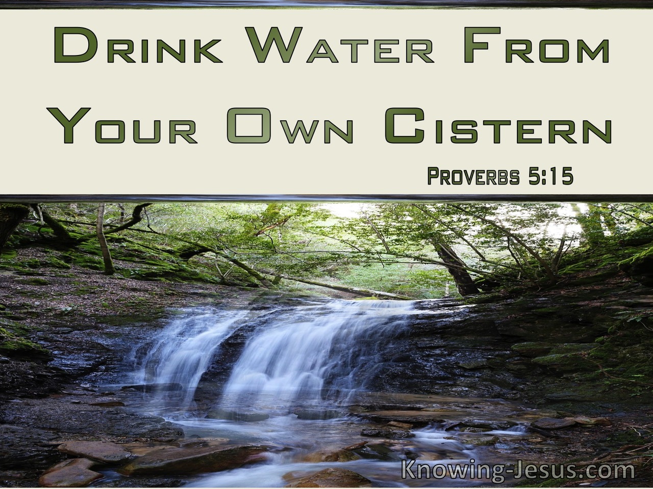 Proverbs 5:15 Drink Water From Your Own Cistern (green)